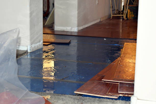 Professional Basement Flood Cleanup technician working in La Habra, CA
